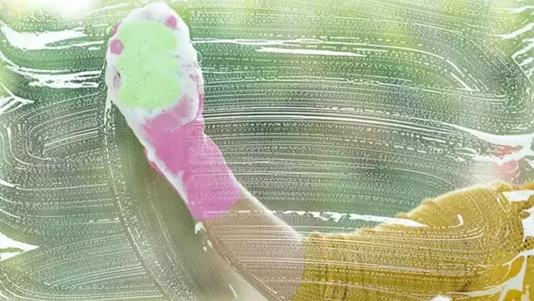 Bir eski gazete sayfası bir sirkeli su! İşte aynalar ve camların en eski temizlik yöntemi 6 gazete 3