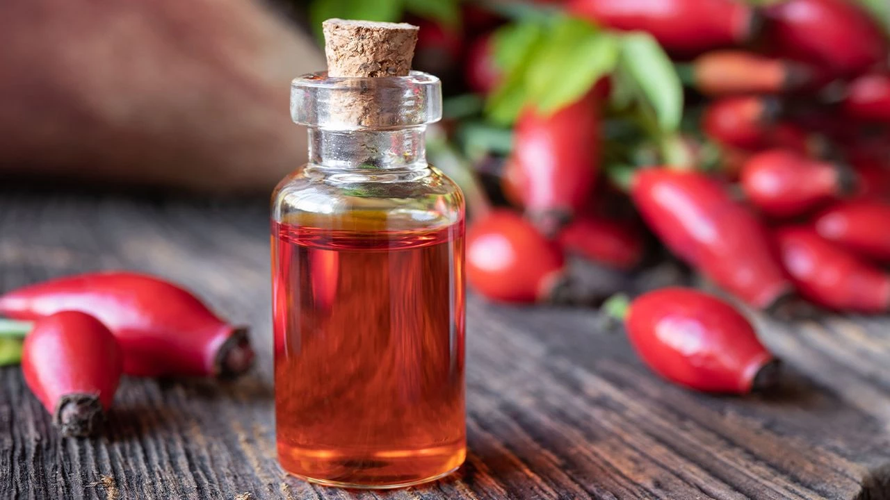 kusburnu yagi cilt 5djb