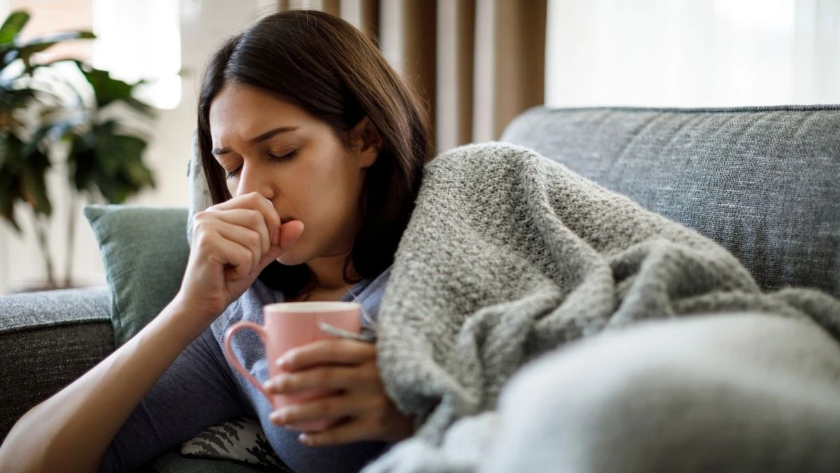 Alerjik öksürüğü bitiren kür! İbn-i Sina’dan asırlık kuru dut tarifi 4 Alerjik öksürüğü bitiren kür! İbn-i Sina’dan asırlık kuru dut tarifi