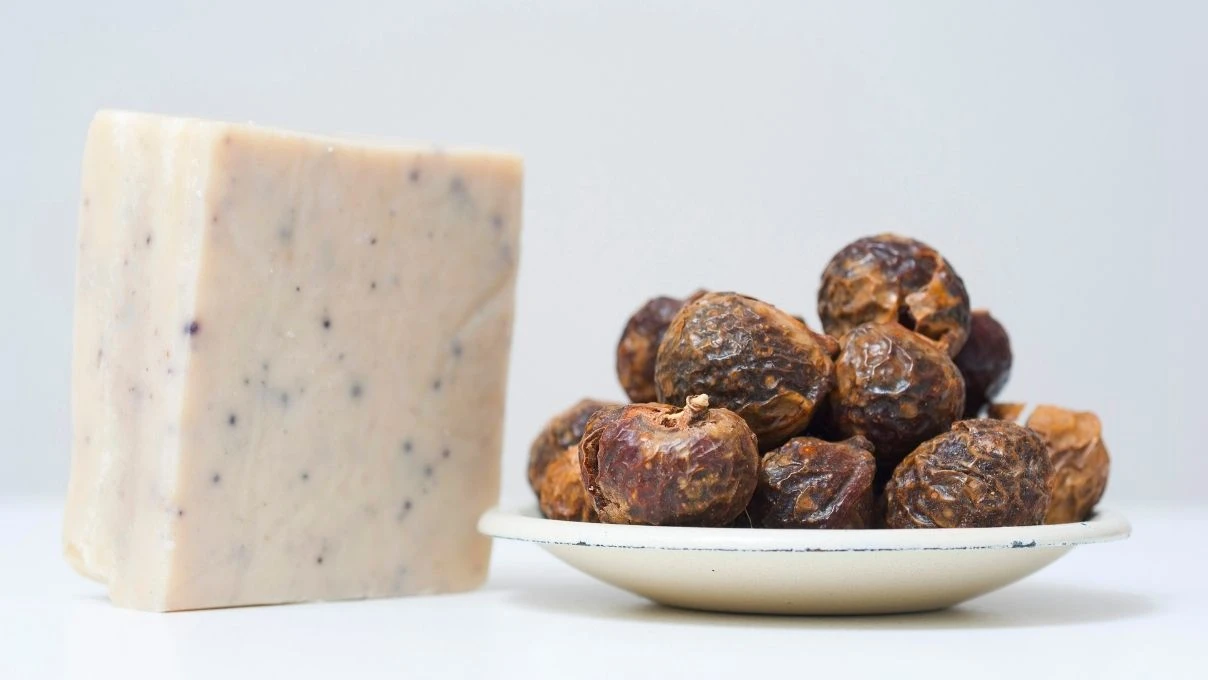 Sabun cevizi nedir ne işe yarar? Sabun cevizi Türkiye'de yetişir mi?