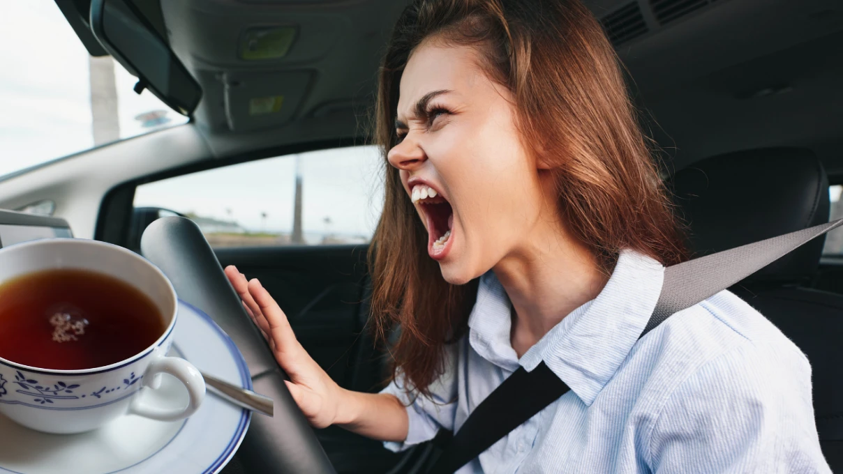 sinir yatistiran cay 4