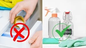 Yumuşatıcı kullanmadan kıyafetlerinizi mis gibi kokutun!