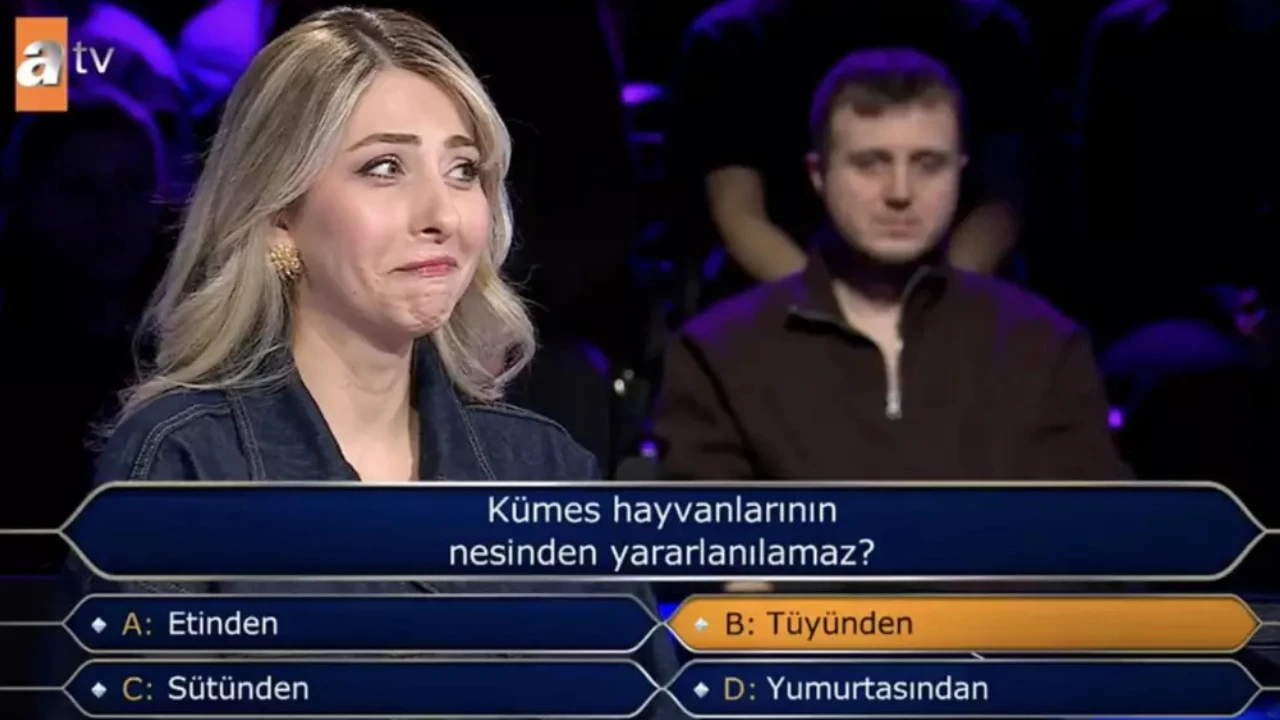 3 1135