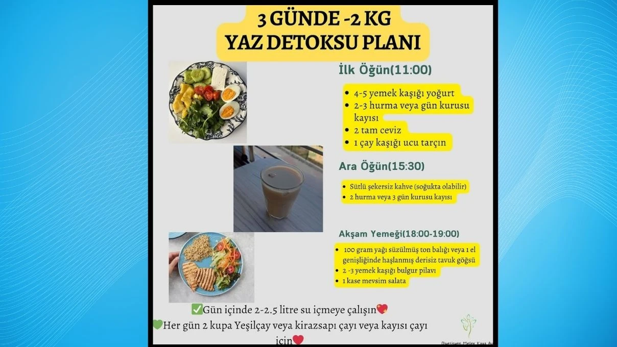 3 gunde 2 kilo zayiflatan yaz detoksu hem odem atiyor hem yag yakiyor 2