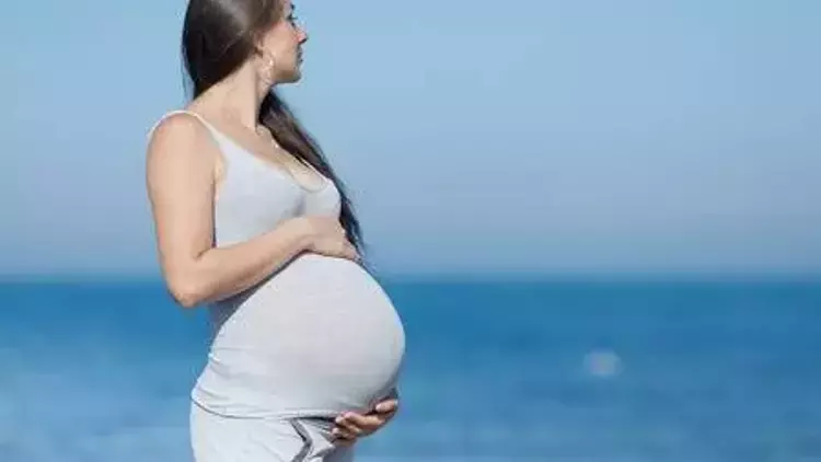 5b5b07a30490c808f833d4d6