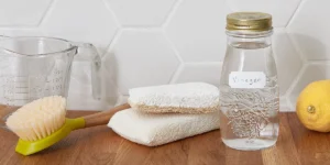 Evinizi dip köşe sirke ile silin! İşte inanılmaz enerji faydaları 10 65e89c7053f5157f41606c5e699519af1535c553