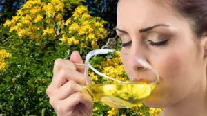 Zayıflamış bağırsak duvarını yeniliyor! Keten tohumu, rezene, papatya ve zencefil karışımı 4 6741e2a8815c3941882c55ee