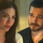 69136d686b2d104147cf6ea3 dyrr