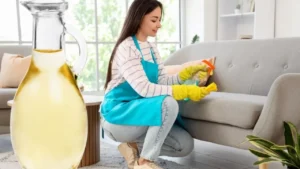 Evinizi dip köşe sirke ile silin! İşte inanılmaz enerji faydaları 12 8799 kis gelmeden koltuklarinizi sirkeyle temizleyin sebebini ogrenince sasiracaksiniz