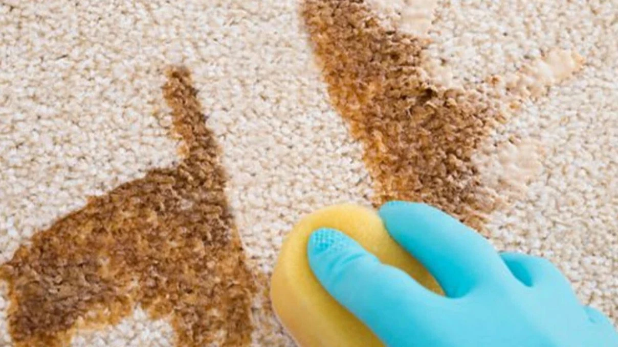 Koltuktaki çay lekelerine son! Kimyasal kullanmadan