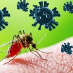 Chikungunya Virüsü nedir nasıl bulaşır? Chikungunya Virüsü belirtileri neler?