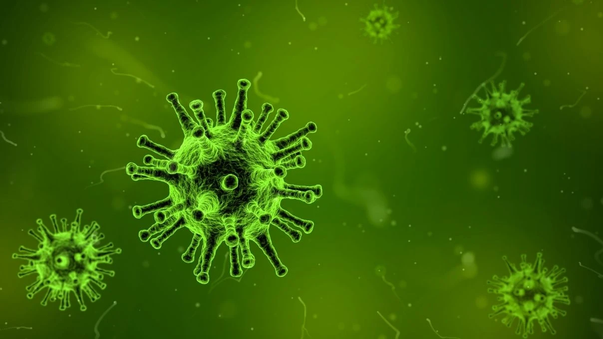 Chikungunya Virüsü nedir nasıl bulaşır? Chikungunya Virüsü belirtileri neler?