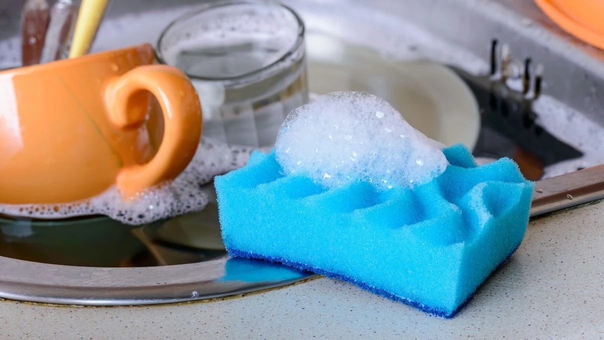 Mutfağa gizlenen mikrop! Canan Karatay ele verdi