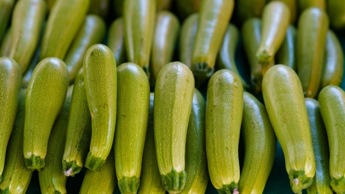 Nilay Keçeci’nin kabak detoksuyla 3 günde 3 kilo verin! 