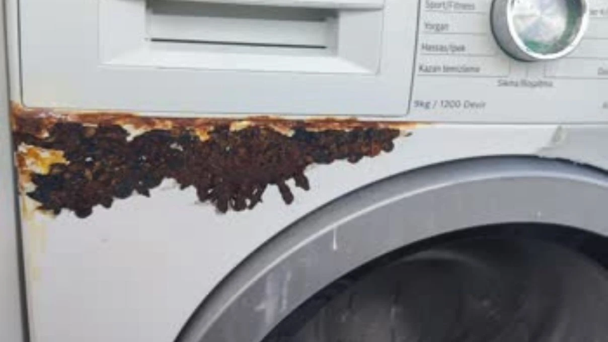 Beyaz eşyalardan çürümeye dikkat! Yepyeni yapmanın yöntemleri