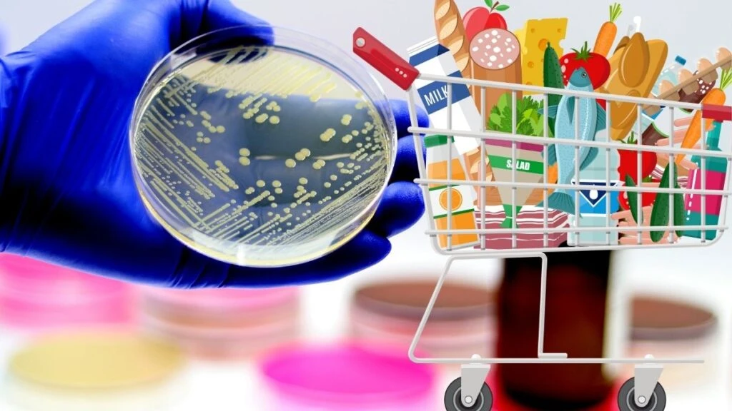 Market ürünlerine dikkat! Hazır gıdalarda tespit edilen bakteri türü ciddi hastalıklara sebep veriyor