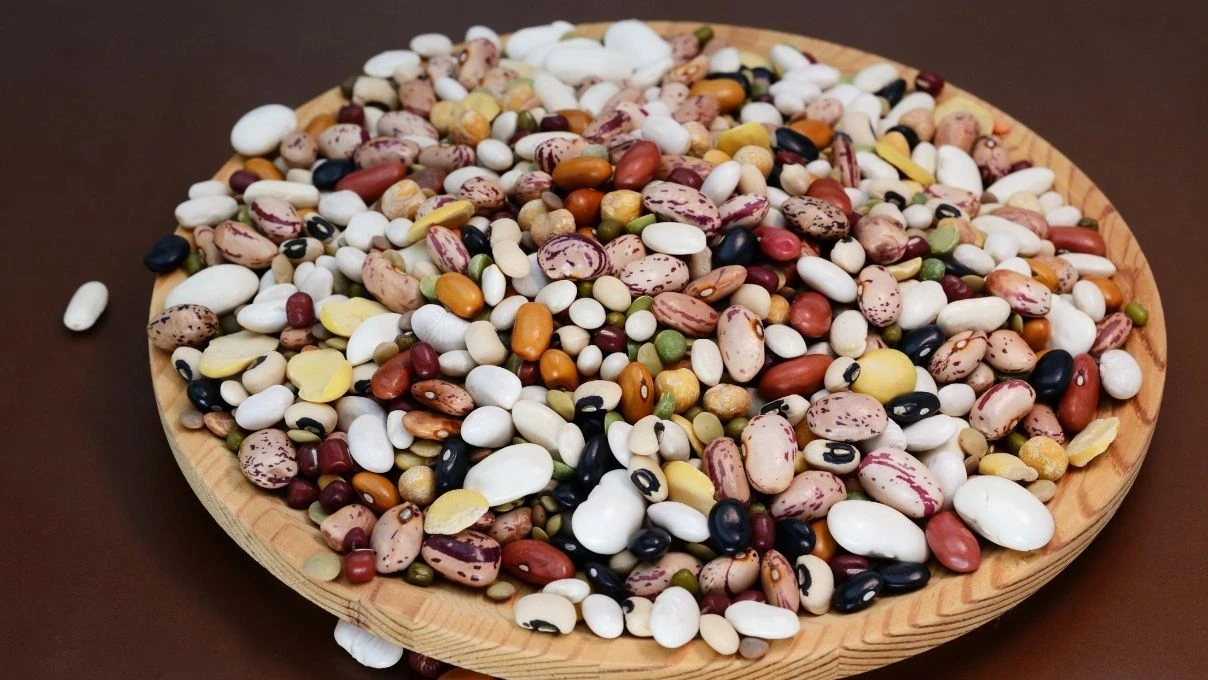 Kuru bakliyatları sakın böyle saklamayın! Böceklenmeye neden olan hata