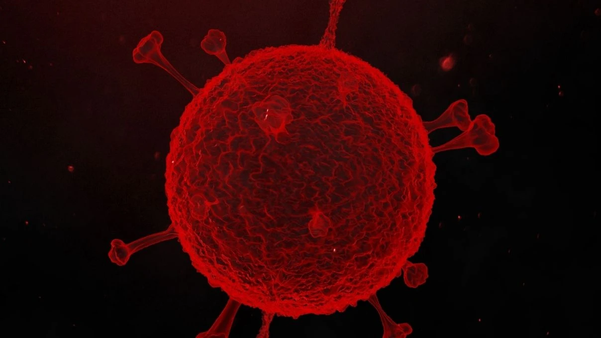 H3N2 virüsü neden bu kadar hızlı yayılıyor? H3N2 virüsü gripten farklı mı? 5 H3N2 virüsü neden bu kadar hızlı yayılıyor? H3N2 virüsü gripten farklı mı?