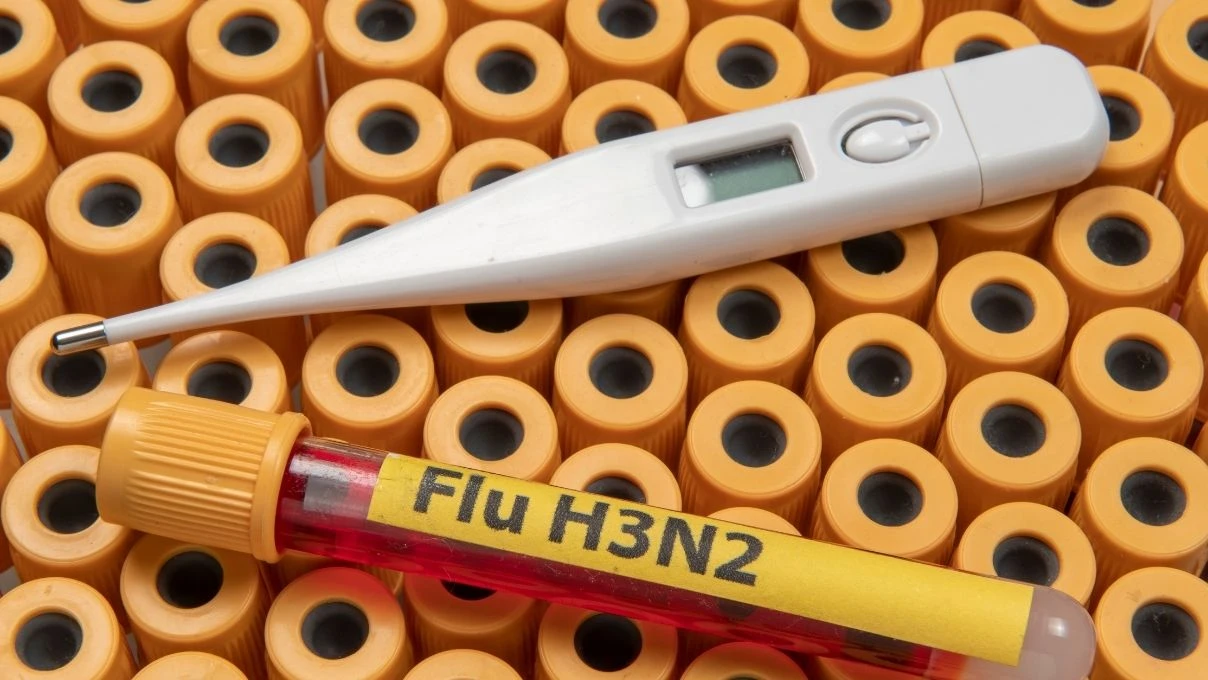 H3N2 virüsü neden bu kadar hızlı yayılıyor? H3N2 virüsü gripten farklı mı? 6 H3N2 virüsü neden bu kadar hızlı yayılıyor? H3N2 virüsü gripten farklı mı?