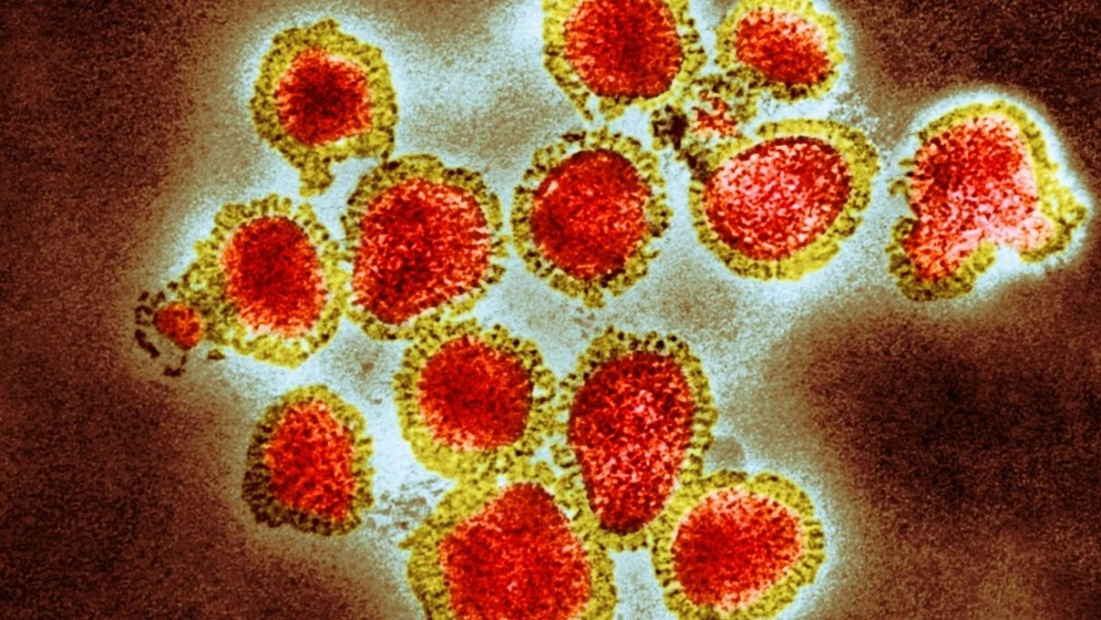 H3N2 virüsü neden bu kadar hızlı yayılıyor? H3N2 virüsü gripten farklı mı? 7 H3N2 virüsü neden bu kadar hızlı yayılıyor? H3N2 virüsü gripten farklı mı?