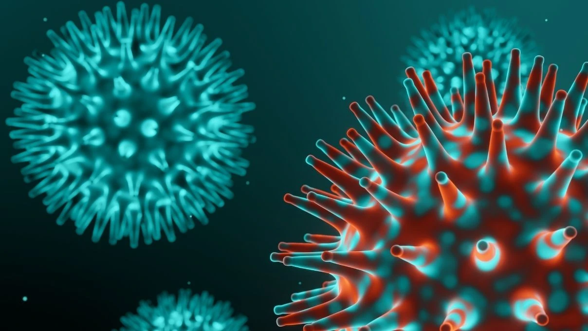 H3N2 virüsü neden bu kadar hızlı yayılıyor? H3N2 virüsü gripten farklı mı? 9 H3N2 virüsü neden bu kadar hızlı yayılıyor? H3N2 virüsü gripten farklı mı?