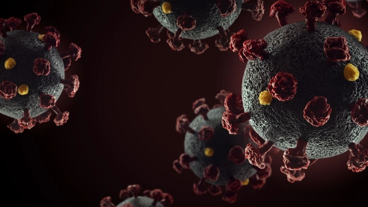 H3N2 virüsü neden bu kadar hızlı yayılıyor? H3N2 virüsü gripten farklı mı? 11 H3N2 virüsü neden bu kadar hızlı yayılıyor? H3N2 virüsü gripten farklı mı?