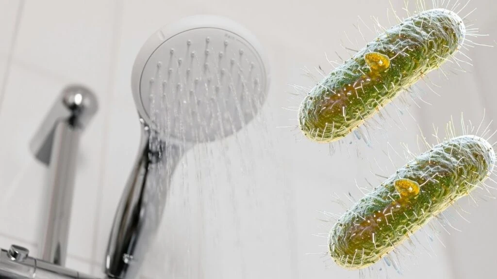 Duş başlığındaki bakteriler! Mide bulandıran gerçek