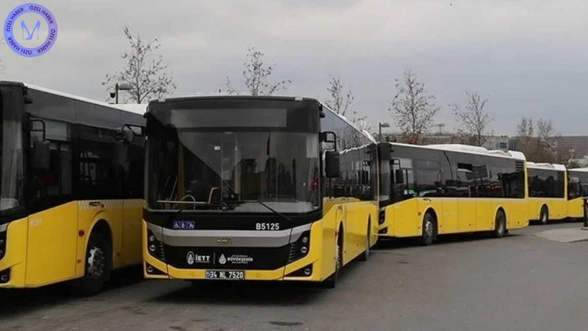 ARZU 7