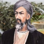 Adsiz tasarim 13 22