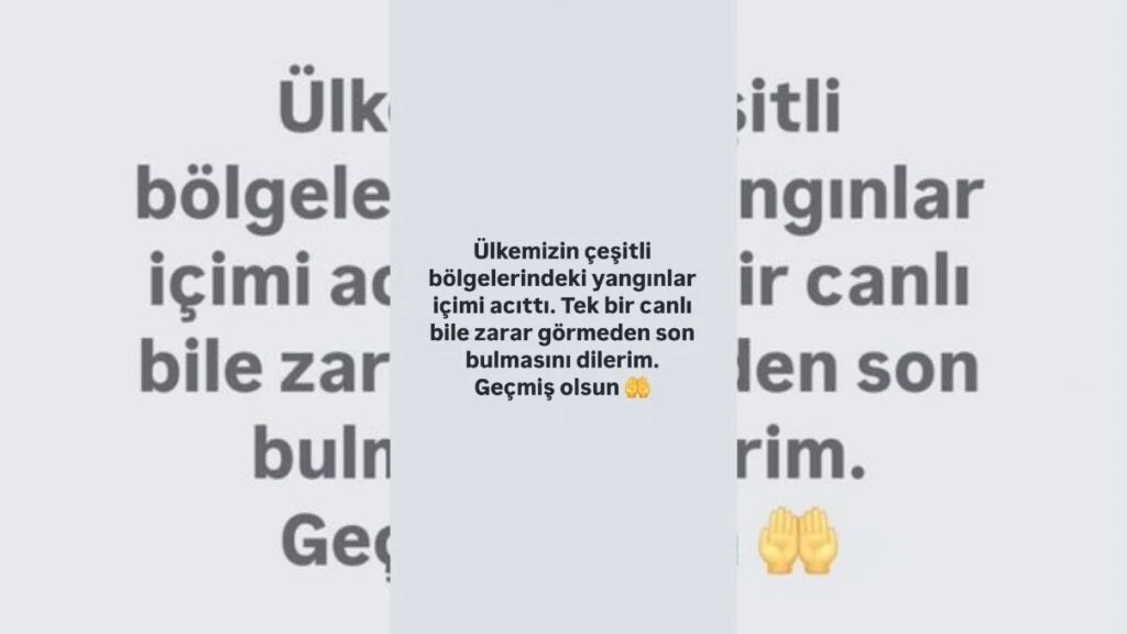 Ünlülerin Bursa yangın paylaşımları