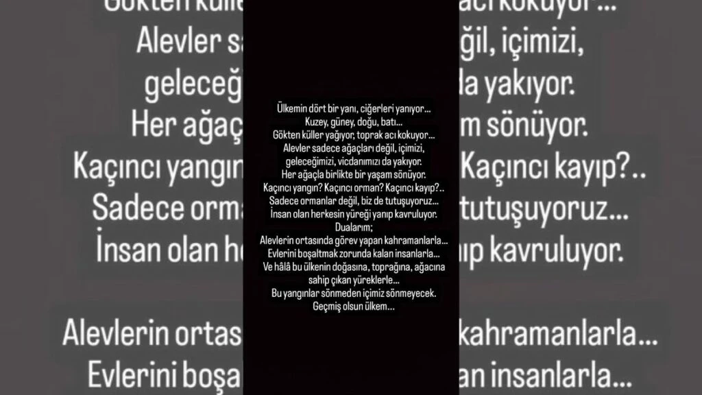 Ünlülerin Bursa yangın paylaşımları