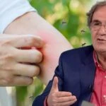 Sinek ısırığını sakın kaşımayın! İbrahim Saraçoğlu’ndan net çözüm