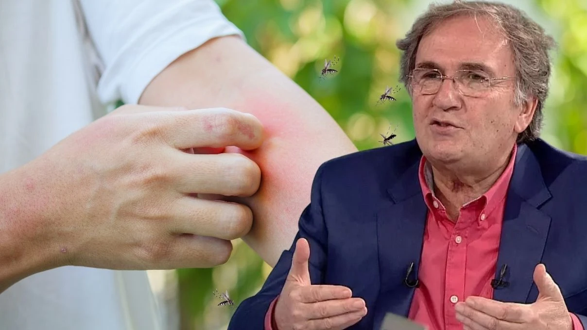Sinek ısırığını sakın kaşımayın! İbrahim Saraçoğlu’ndan net çözüm