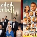 Gönül Dağı ve Kızılcık Şerbeti dizisinin afişleri gündem oldu!