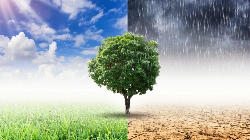 Değişen havalara dikkat! Klimadan kötü çarpıyor