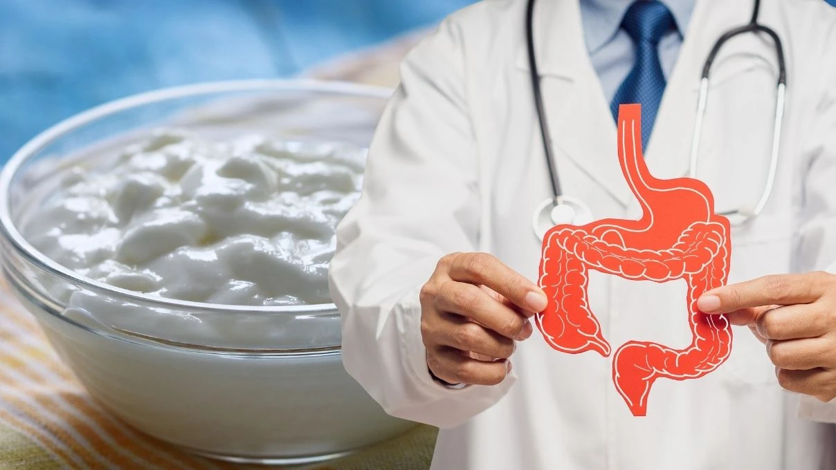 Bağırsak florasını güçlendiren yoğurt kürü! İshal sonrası toparlanma rehberi
