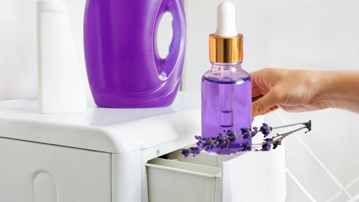 Çamaşır makinesinin ilk gözüne bir damla lavanta yağı dökün! Sonuçlara şaşıracaksınız