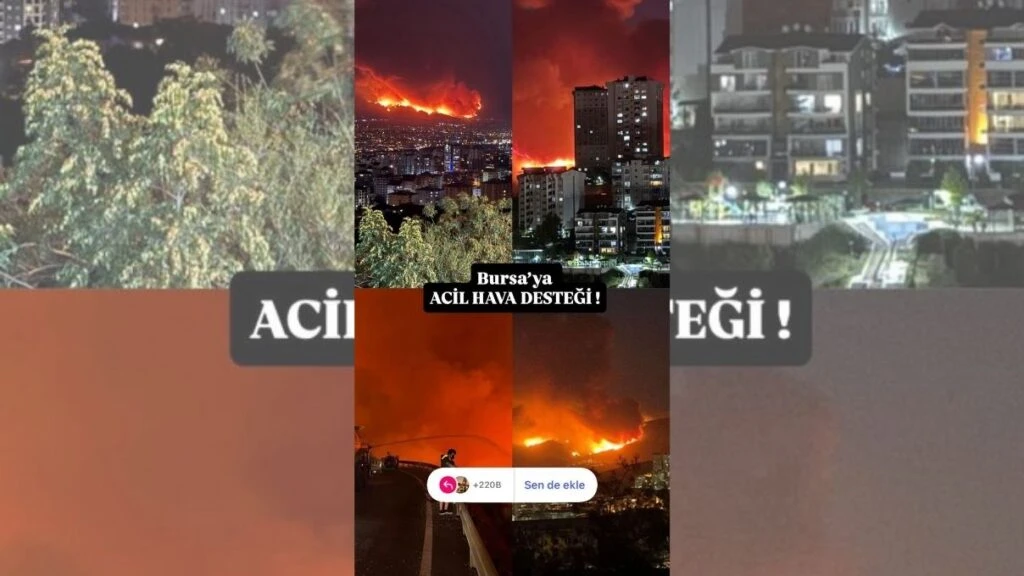Ünlülerin Bursa yangın paylaşımları