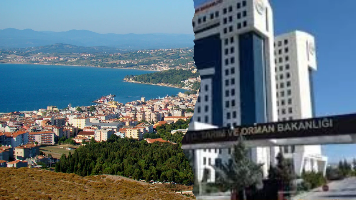 Adsiz tasarim 51 12