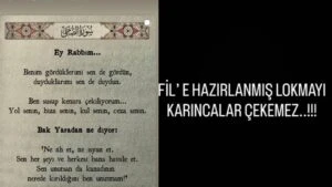 İbrahim Tatlıses'ten oğluna şifreli paylaşım! Lokmayı karıncalar çekemez sözü Ahmet'e gönderme mi? 9 Adsiz tasarim 6 122