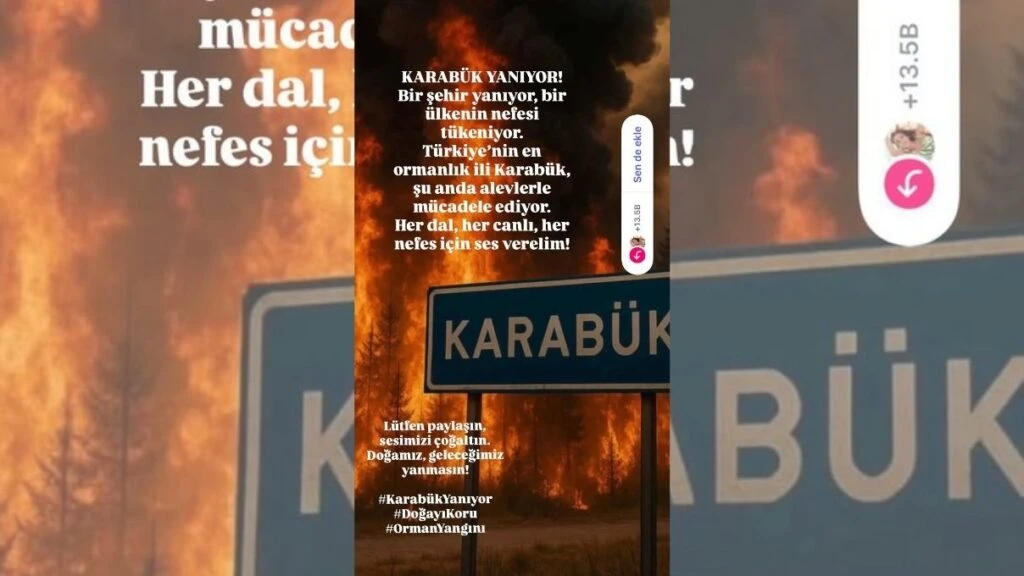 Ünlülerin Bursa yangın paylaşımları