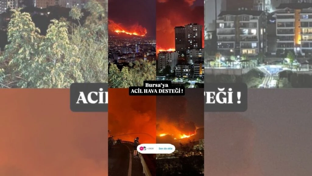 Ünlülerin Bursa yangın paylaşımları