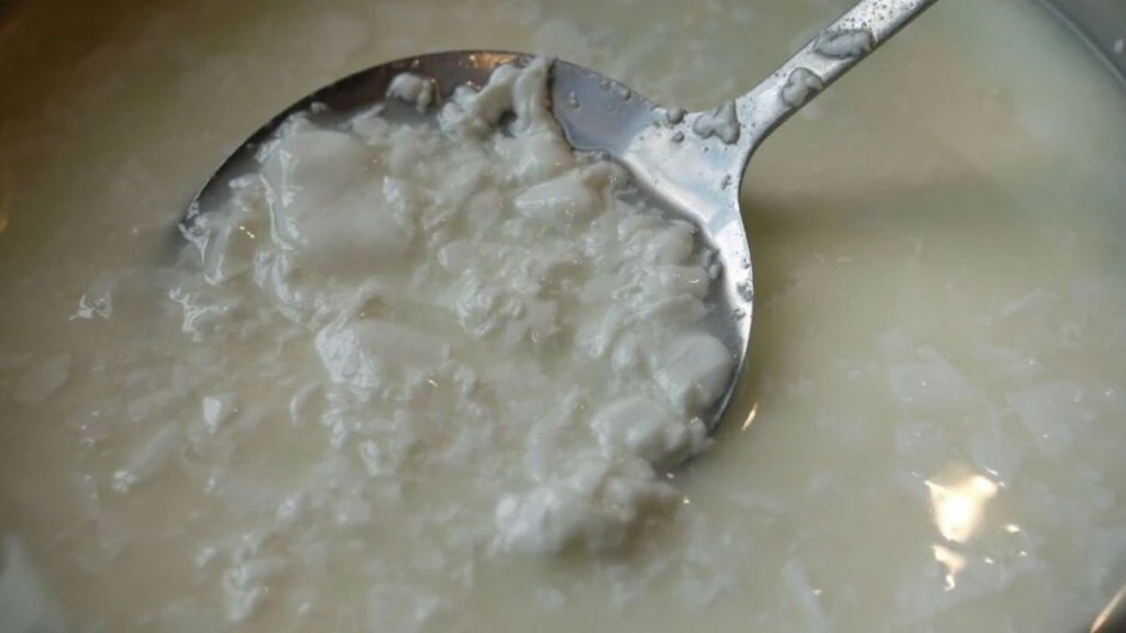 Bozuk sütten peynir yapılır mı? Bozuk süt ne zamana kadar kullanılır?