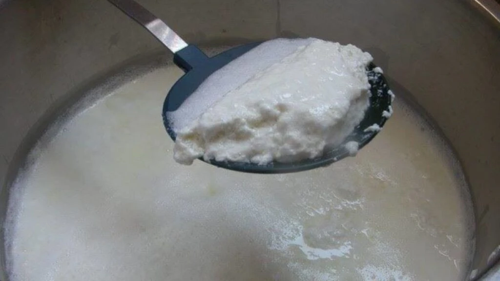 Bozuk sütten peynir yapılır mı? Bozuk süt ne zamana kadar kullanılır?