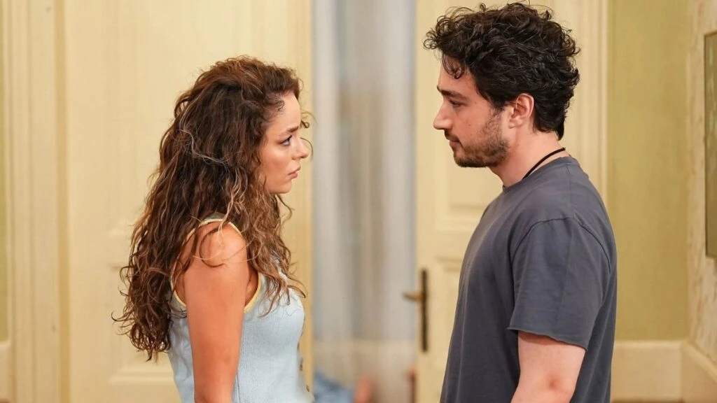 Aile Saadeti dizisi için sona gelindi! Yazlık dizi için final kararı verildi