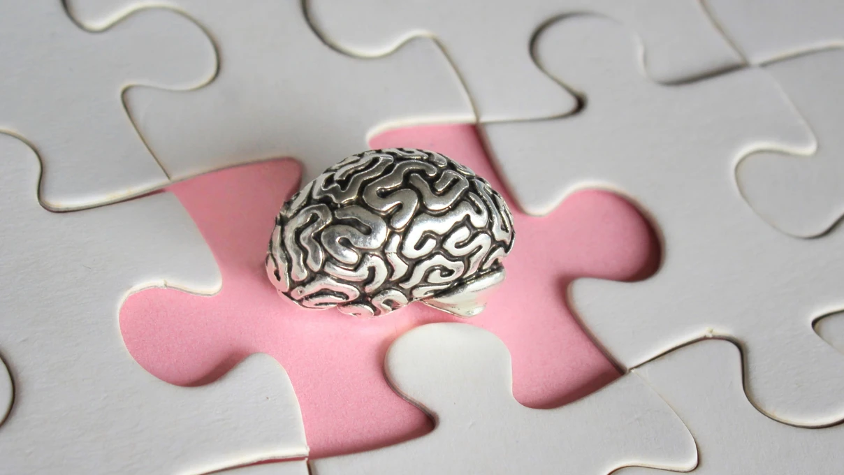 Alzheimer 13