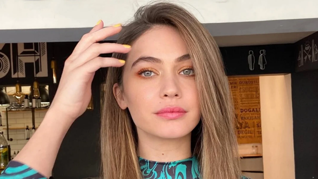 Asli 2025 11 10T153337.720