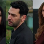 Asli 2025 11 16T172539.291