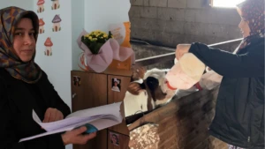 Habibe Tekeli Mersin’de azmin simgesi! Hayvancılıktan akademik başarıya zorlu yolculuk