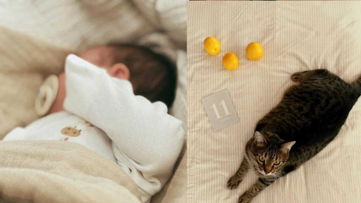 Asli 2025 12 03T105804.432